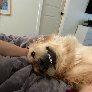 Meet your Posher, Sean